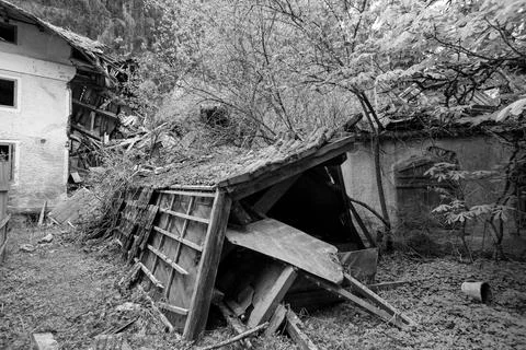 Damaged Structures and Overgrowth Stock Photos