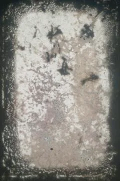 Damaged With Time Stock Photos