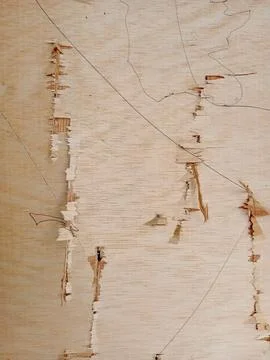 Damaged Triplex Surface with Pencil Sketches Foto stock