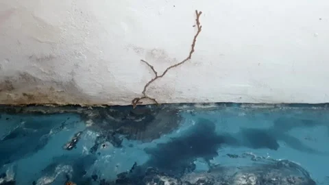 Damaged wall 스톡 동영상 282239894
