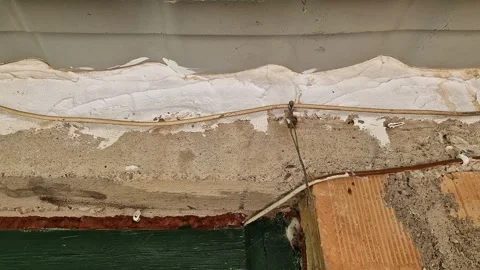 Damaged Wall with Peeling Paint and Plaster Layers Stock Footage 318076246