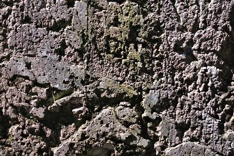 Damaged wall Stock Photos