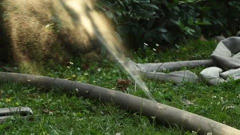 Leaking Hose Stock Video Footage | Royalty Free Leaking Hose Videos | Pond5