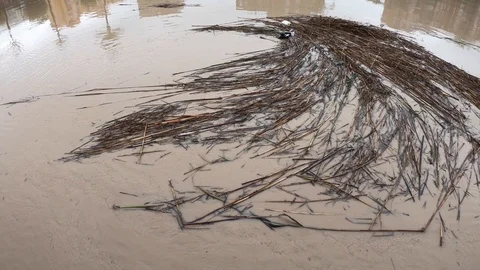 Damages and sequels of the floods due to the cold drop in Murcia, Spain. 2019 Stock Footage 115898601