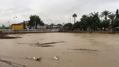 Damages and sequels of the floods due to the cold drop in Murcia, Spain. 2019 Stock Footage 115911577