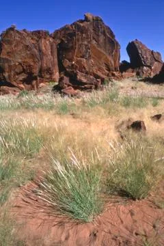 Damaraland Stock Photos