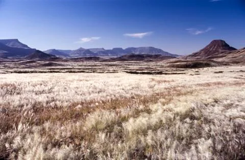 Damaraland Stock Photos