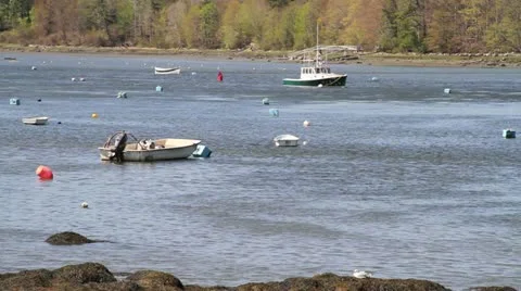 Damariscotta, Maine 스톡 동영상 11129075