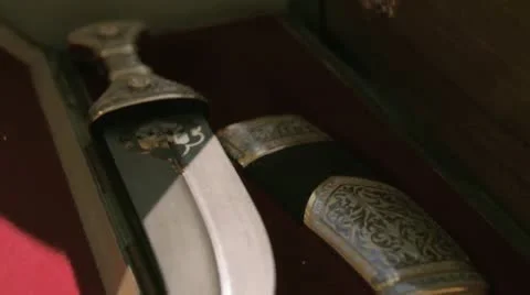 Damascus Blade L Video stock 10679482