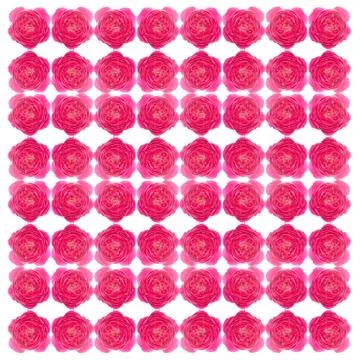 Damask rose  seamless pattern background Stock Illustration