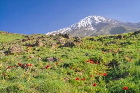 Damavand in iran Stock Photos