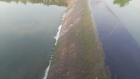 A  dame in the river. Stock Footage 137929902