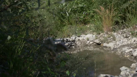 Dammed Water in Stream Bed - Zoom out Stock Footage 137513297