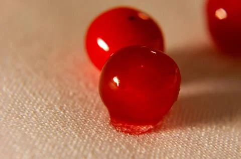 Damp cranberry Foto stock