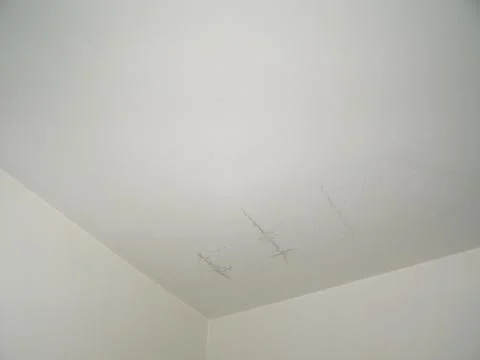 Damp moisture Foto stock