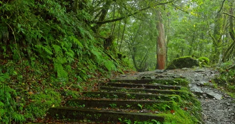 The damp stone steps and tranquil moments for hikers on the Qilan Sacred Tr.. 库存影片 334162859
