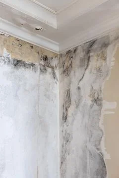 A damp wall, a consequence of a leaking roof, an emergency condition of housi Foto stock