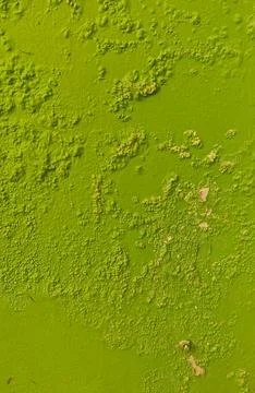 Damp Wall Surface Stock Photos