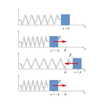 Damped oscillations of a spring with a load Illustrazione stock