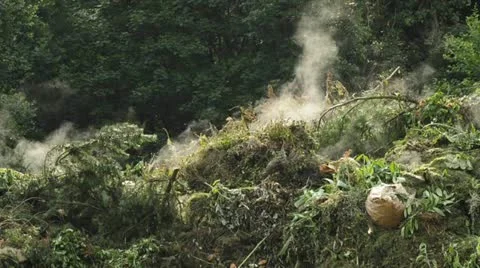 Damping compost heap Stock Footage 11268790