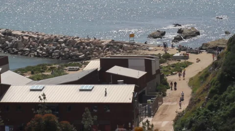 Dana Point, CA-6131 Stock Footage 1182753