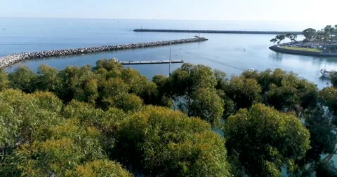 Dana Point California Stock Footage 245589341