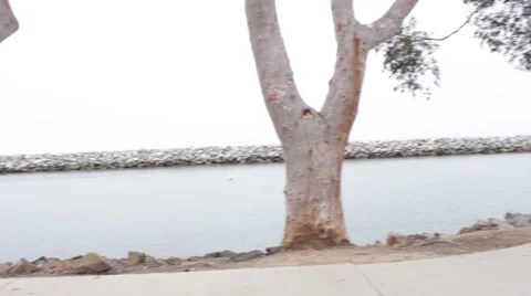 Dana Point Ocean View Stock Footage 50382838