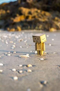 Danbo at the beach Photos