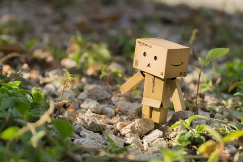 Danbo outside Photos