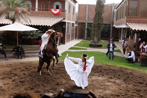 Dance and Equine Elegance Stock Photos
