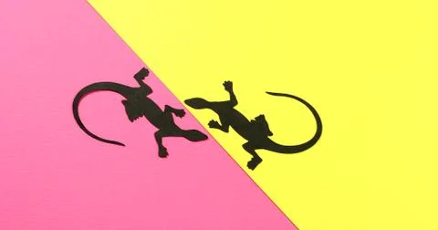 Dance of colored lizards on a white background. Stock Photos