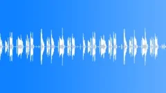 Dance Cool loop bStock Music