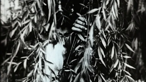 The Dance of The Faun Ending 1908 Stock Footage 78051938