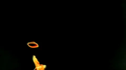 Dance Fire Video stock 3532573