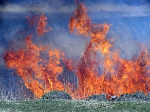 The dance of fire Stock Photos