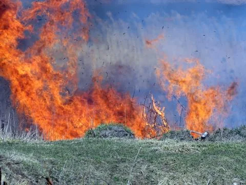 The dance of fire Foto stock