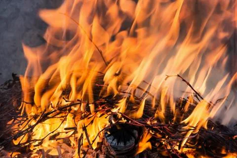 Dance of fire under the wind, ashes Stock Photos