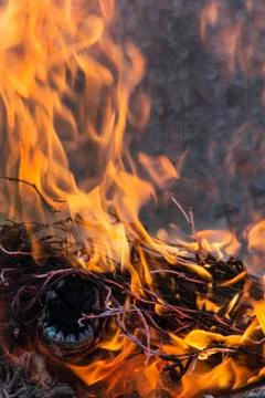 Dance of fire under the wind, ashes Stock Photos