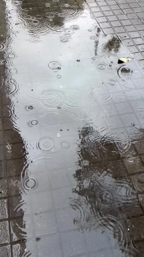 Dance of Raindrops on the Puddles Stock Footage 324758962