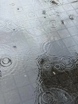 Dance of Raindrops on the Puddles Stock Photos