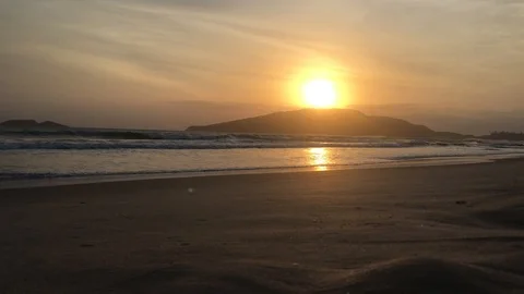 Dance of seagulls in the air with the sun behind the hill. Stock Footage 122946398