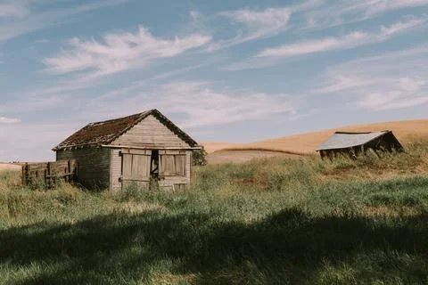 A Dance Of Shadows Fotos de archivo