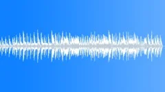 Dance Of The Sugar Plum Fairy (60 Sec Edit) Stock Music