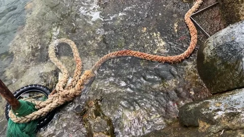Dance of tides with rope and waves at coast Stock Footage 323335651