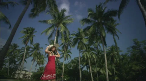 Dance under coconut trees Stock Footage 30477046