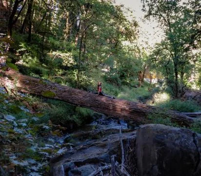 Dancer doing a split on a log over a stream Stock Photos