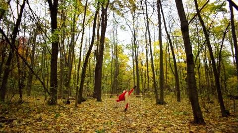 The dancer herself hones her movements in the middle of a large yellow forest. Stock Footage 260930108