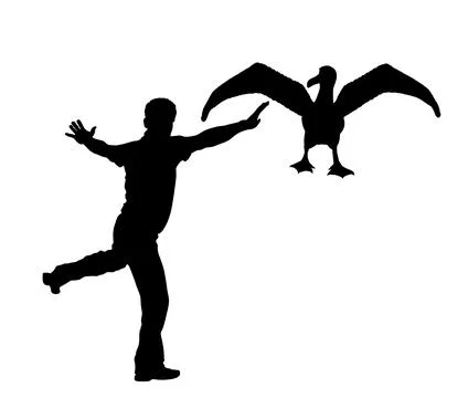 Dancer man dancing with seagull friend vector silhouette Stock Illustration