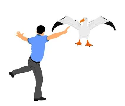 Dancer man dancing with seagull friend vector Stock Illustration