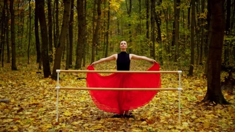 The dancer performs dance movements near the ballet barre. Stock Footage 256646137